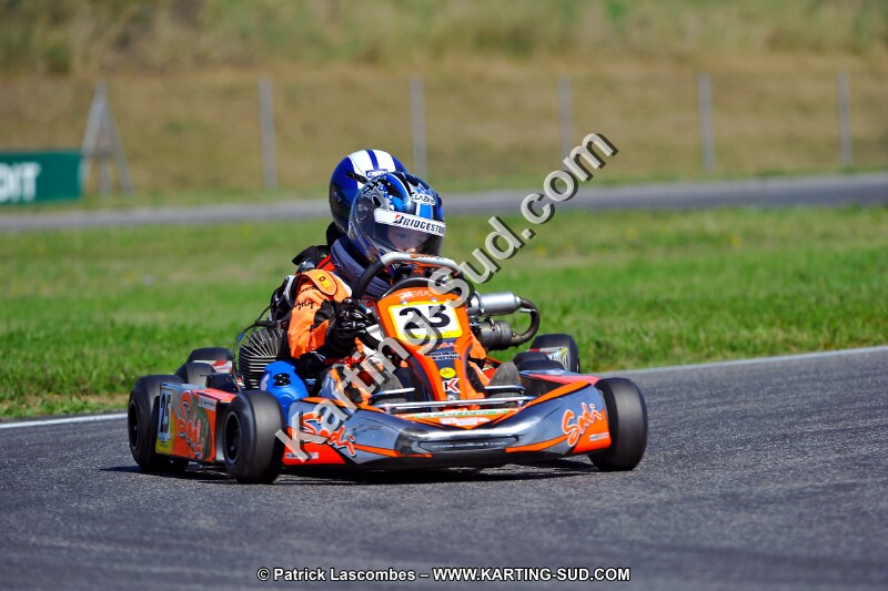 DSC_ (1343).jpg